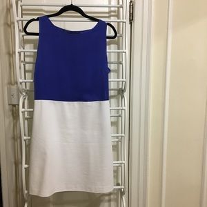 Chic Zara Two-Tone Slip Dress